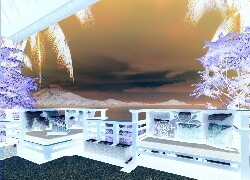 Negatyw