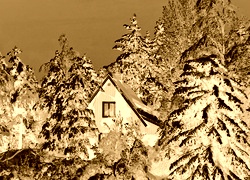 Sepia + Negatyw