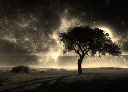 Szary + Sepia