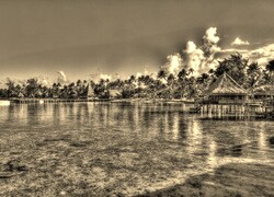 Szary + Sepia