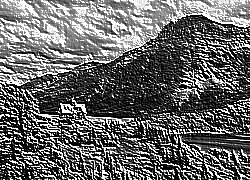 Skamielina