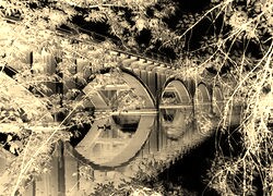 Sepia + Negatyw