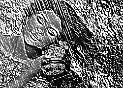 Skamielina