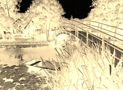 Sepia + Negatyw
