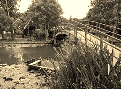 Szary + Sepia