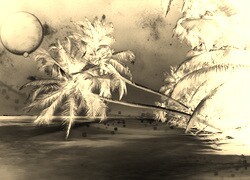 Sepia + Negatyw