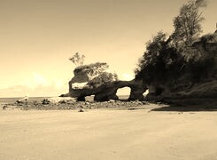 Szary + Sepia