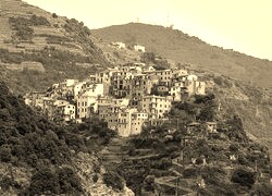Szary + Sepia