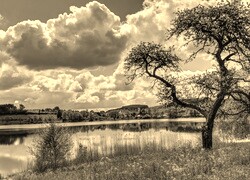 Sepia