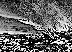 Skamielina