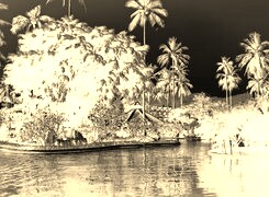Sepia + Negatyw