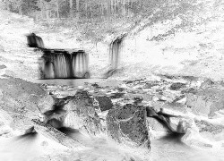 Szary + Negatyw