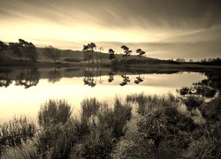 Szary + Sepia