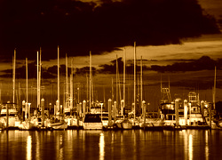 Sepia