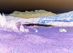 Negatyw