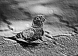 Skamielina