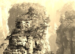 Szary + Sepia