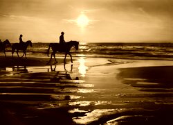 Sepia