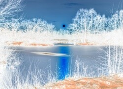 Negatyw