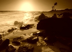 Sepia