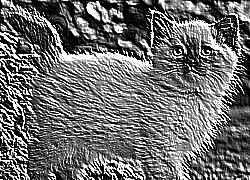 Skamielina