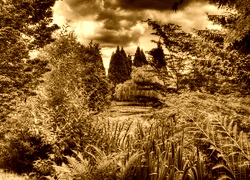 Sepia