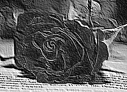 Skamielina