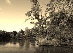 Szary + Sepia