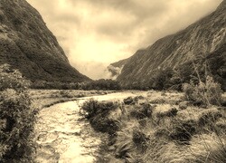 Sepia