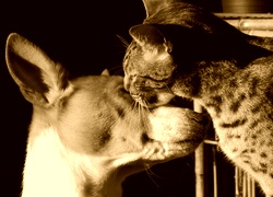 Sepia
