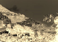 Sepia + Negatyw