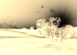 Sepia + Negatyw