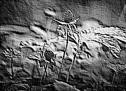Skamielina