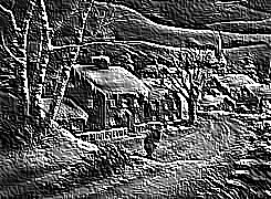 Skamielina