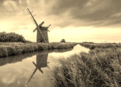 Szary + Sepia