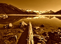 Sepia
