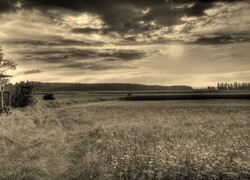 Szary + Sepia