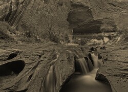 Szary + Sepia