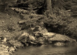 Sepia