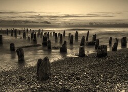 Szary + Sepia