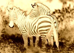 Sepia + Negatyw