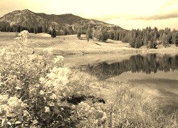 Szary + Sepia