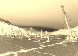 Sepia + Negatyw