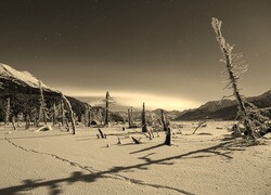 Szary + Sepia