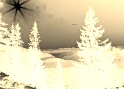 Sepia + Negatyw