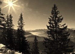 Szary + Sepia