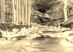 Sepia + Negatyw