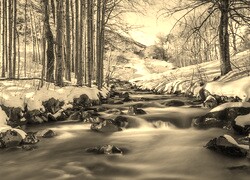 Szary + Sepia
