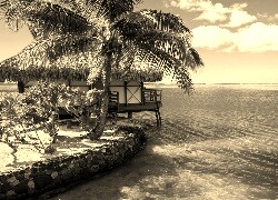 Szary + Sepia