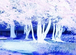 Negatyw